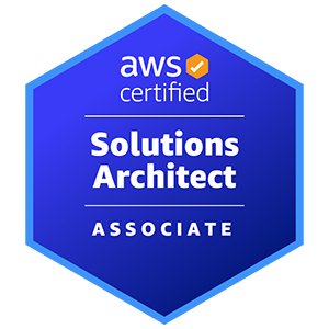 Solution Architect